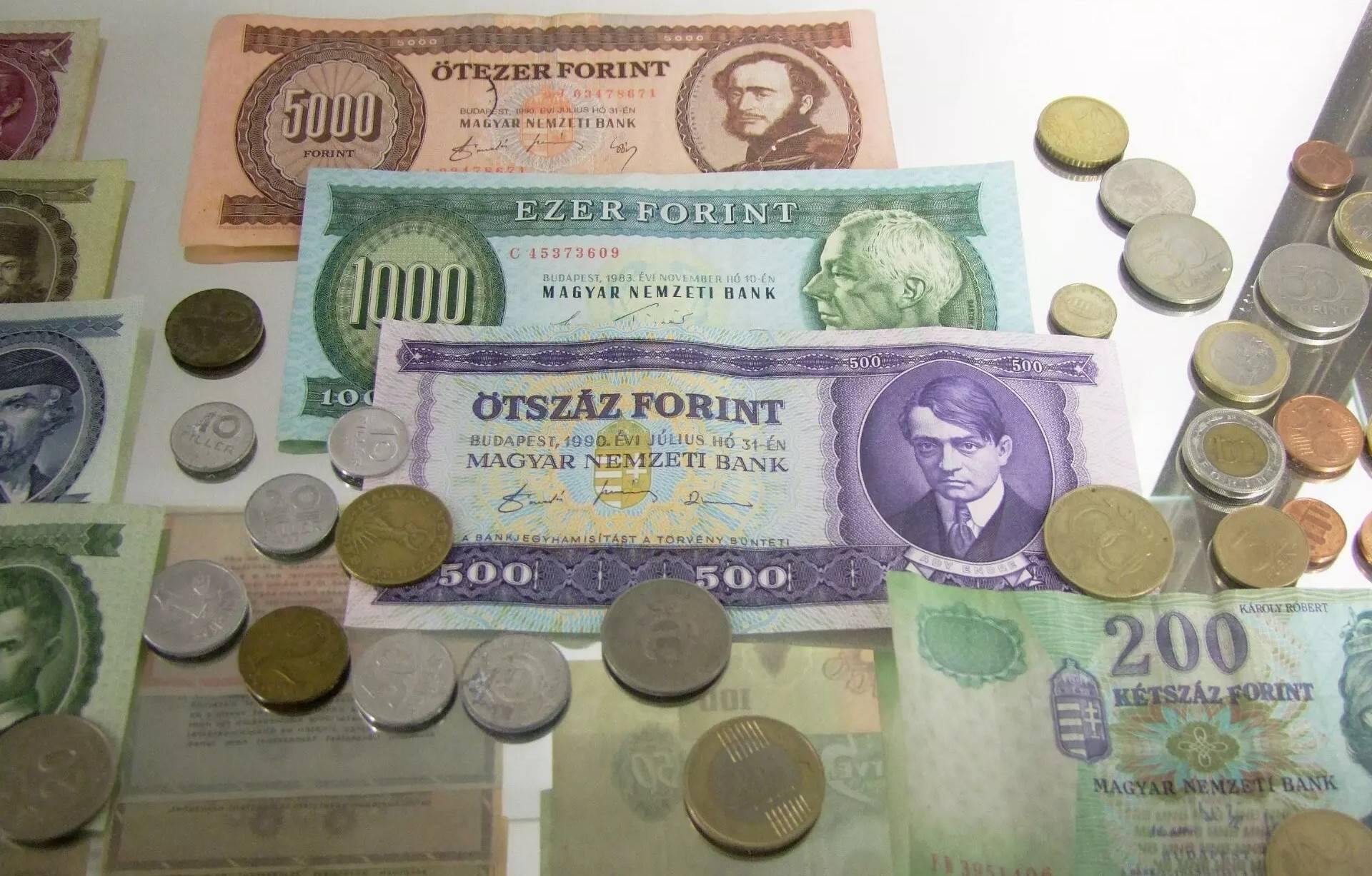  fotó: Pásztory Sára