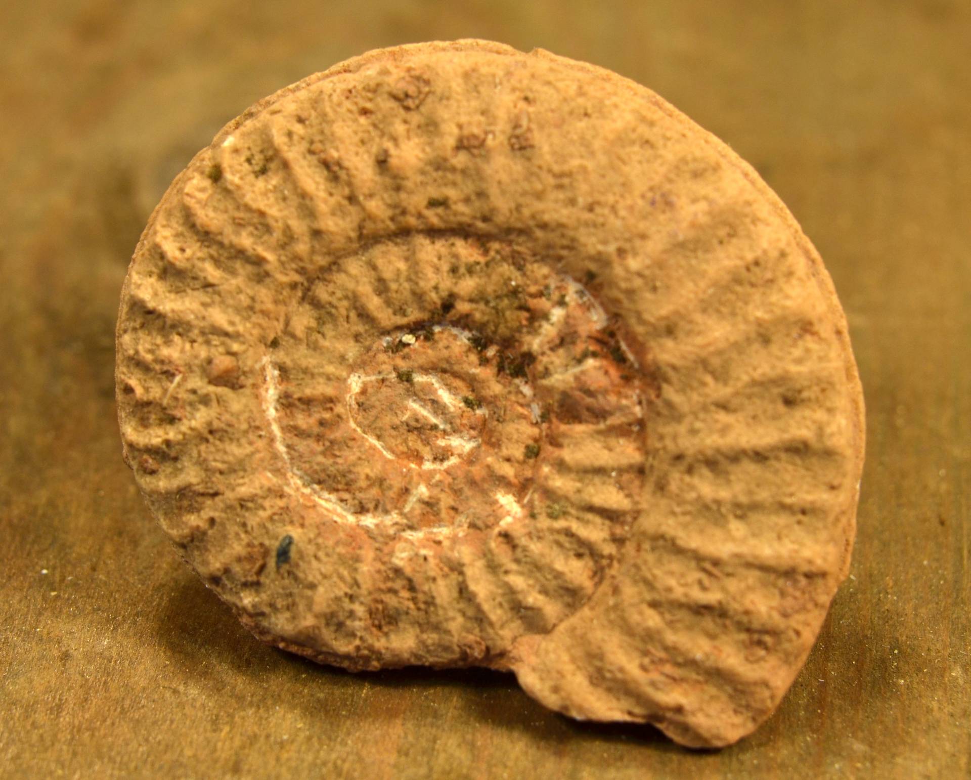  fotó: Pásztory Sára