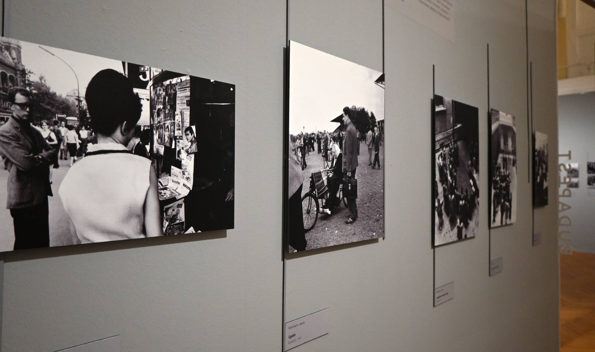  fotó: Pásztory Sára