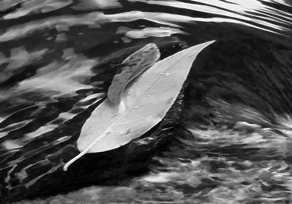 Fények és árnyak – a nyugati határvidék tájai és házai. Biczó Antal kiállítása