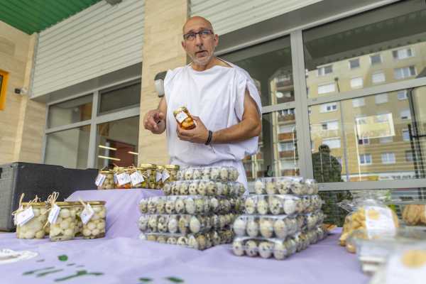 Karneváli termelői piac